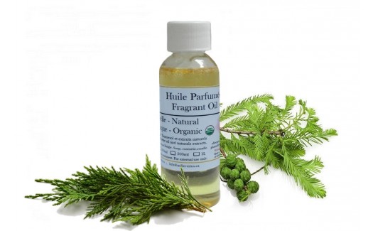 Cypress Natural Fragrant Oil Organic