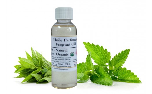 Peppermint Natural Fragrant Oil Organic