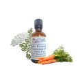 Carrot Seed Essential Oil