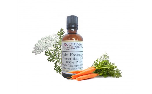 Carrot Seed Essential Oil 30ml