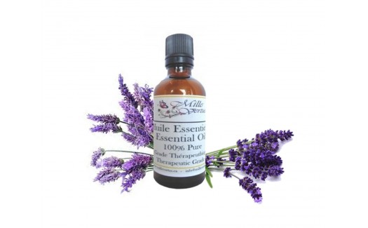 Lavender Essential Oil Lavandula angustifolia