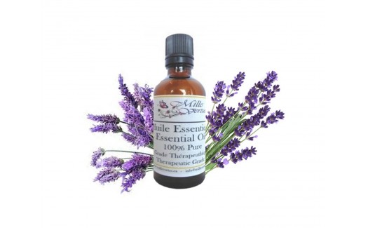 Lavender Essential Oil Spanish