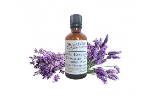 Lavender Essential Oil 40/42 