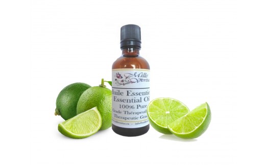 Lime Essential Oil Citrus aurantifolia 50ml