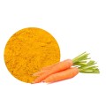 carrot powder freeze-dried (daucus carota) 