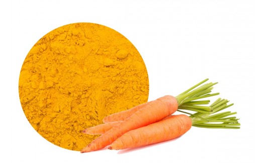 carrot powder freeze-dried (daucus carota) 