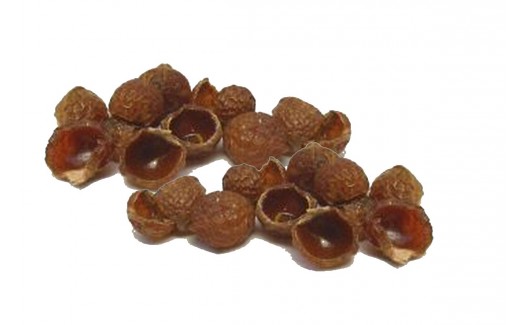 Soap Nuts Acacia concinna Ritha 454g